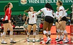 No. 12 WashU Volleyball Sweeps Day One of the UAA Round Robin #1